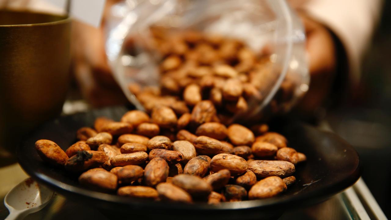 Yılbaşı Öncesi Kakao Fiyatlarına İndirim Geldi!